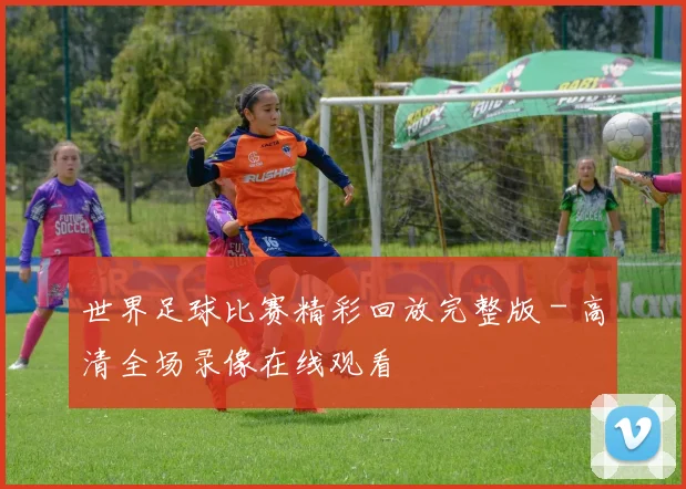世界足球比赛精彩回放完整版 - 高清全场录像在线观看